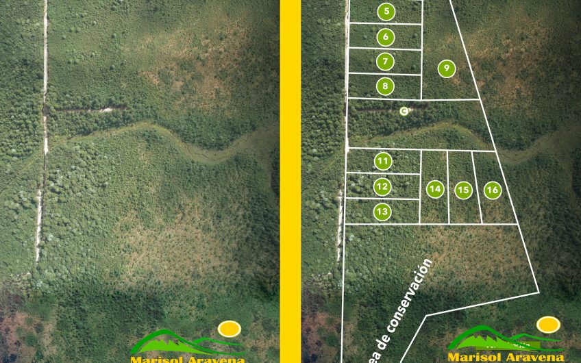 🌿 SE VENDEN LOTES DE PARCELAS EN RESERVA RIBERA PANGAL: LA VIDA QUE SUEÑAS EN PUERTO AYSÉN 🌿