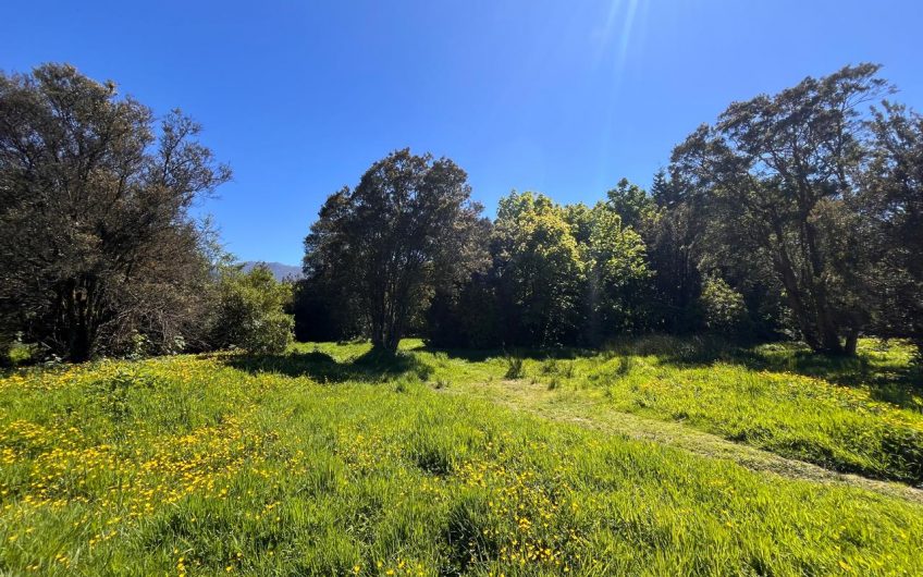 🏡EXCELENTE INVERSIÓN: GRAN TERRENO URBANIZADO EN SECTOR ESTRATÉGICO DE PUERTO AYSÉN.🌿