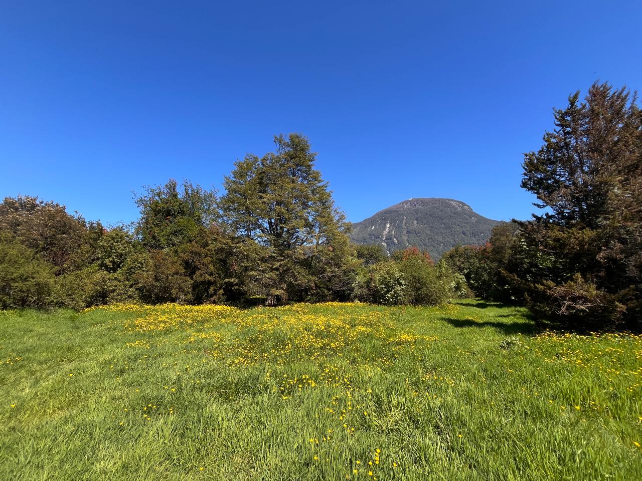🏡EXCELENTE INVERSIÓN: GRAN TERRENO URBANIZADO EN SECTOR ESTRATÉGICO DE PUERTO AYSÉN.🌿