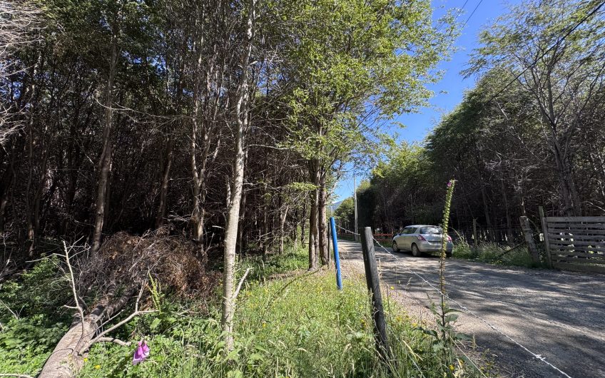 🏔️ Parcela en venta en Sector La Barra – Naturaleza y tranquilidad a solo 10 minutos de Puerto Aysén 🌿