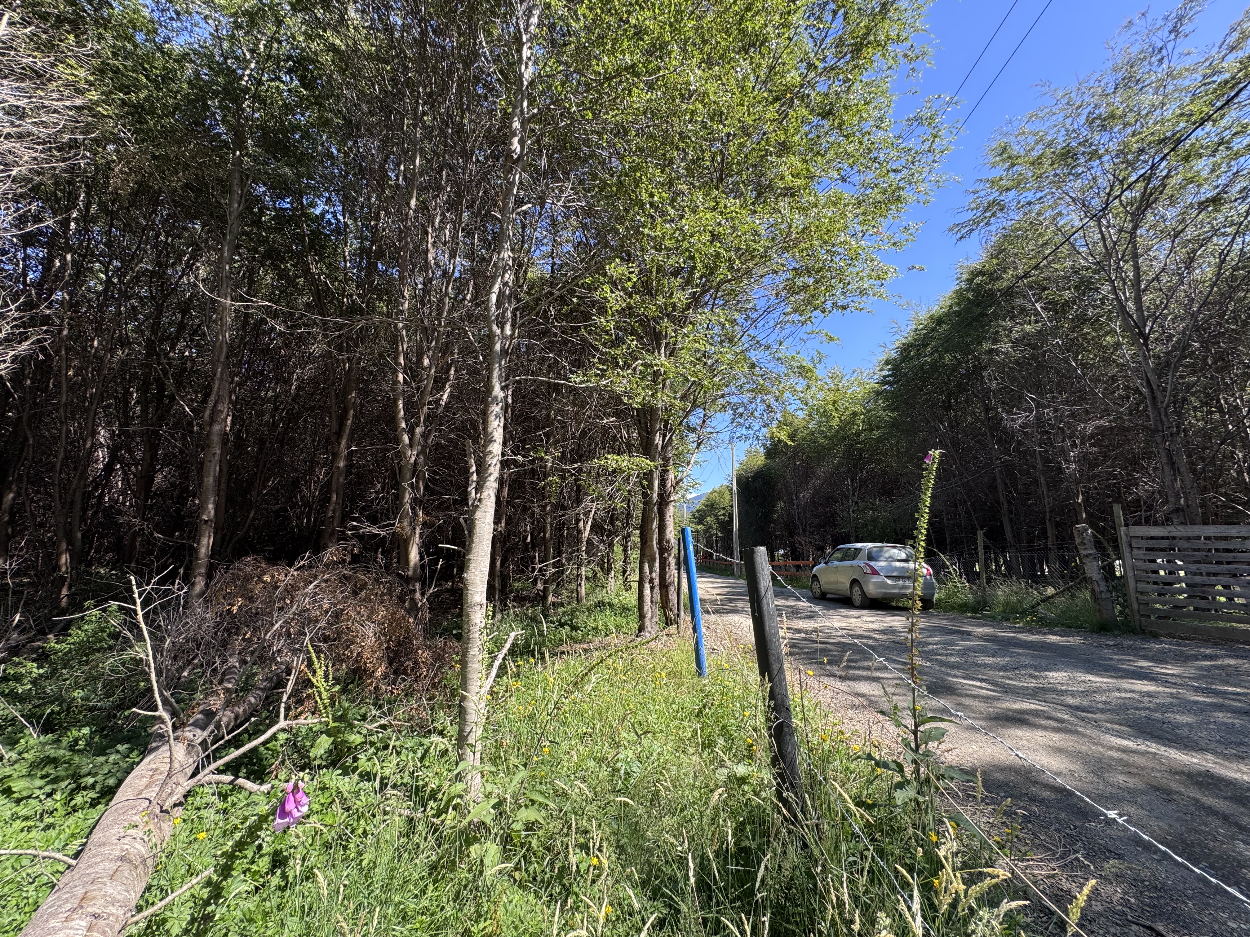 Scenic view of the land parcel with trees and natural surroundings.