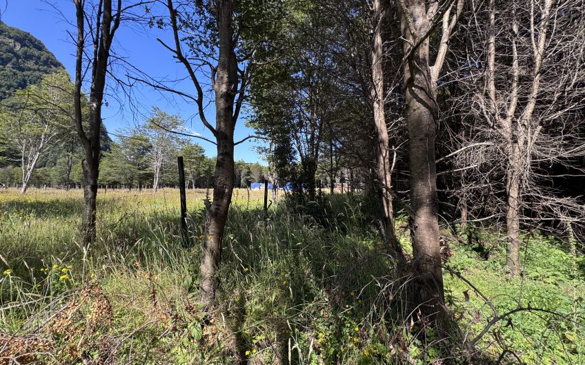 🏔️ Parcela en venta en Sector La Barra – Naturaleza y tranquilidad a solo 10 minutos de Puerto Aysén 🌿