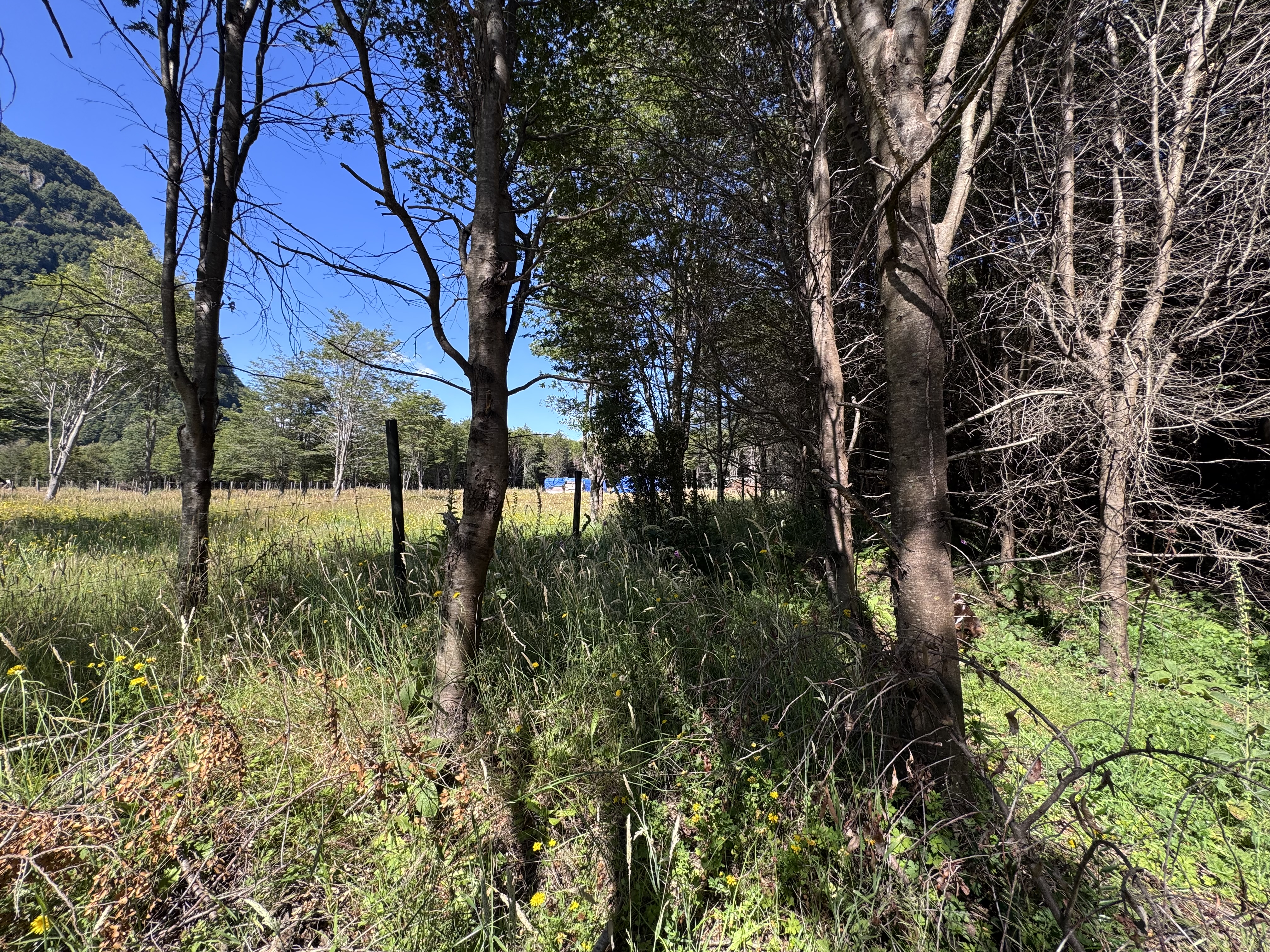 Image of the land parcel showing its potential for building and development.