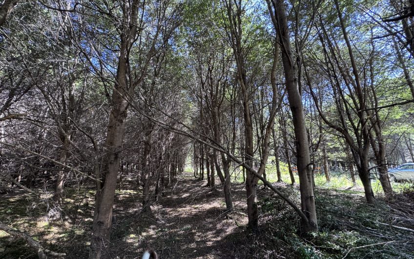 🏔️ Parcela en venta en Sector La Barra – Naturaleza y tranquilidad a solo 10 minutos de Puerto Aysén 🌿