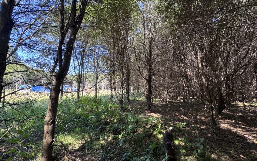 🏔️ Parcela en venta en Sector La Barra – Naturaleza y tranquilidad a solo 10 minutos de Puerto Aysén 🌿