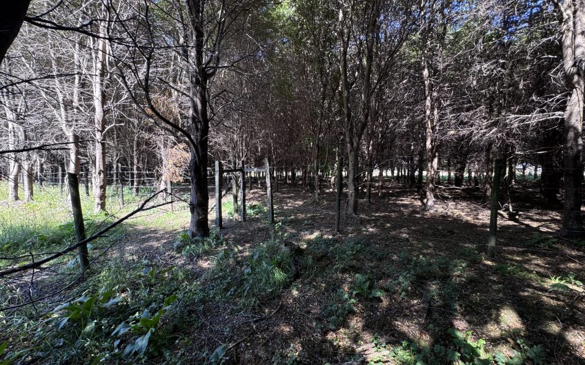 🏔️ Parcela en venta en Sector La Barra – Naturaleza y tranquilidad a solo 10 minutos de Puerto Aysén 🌿