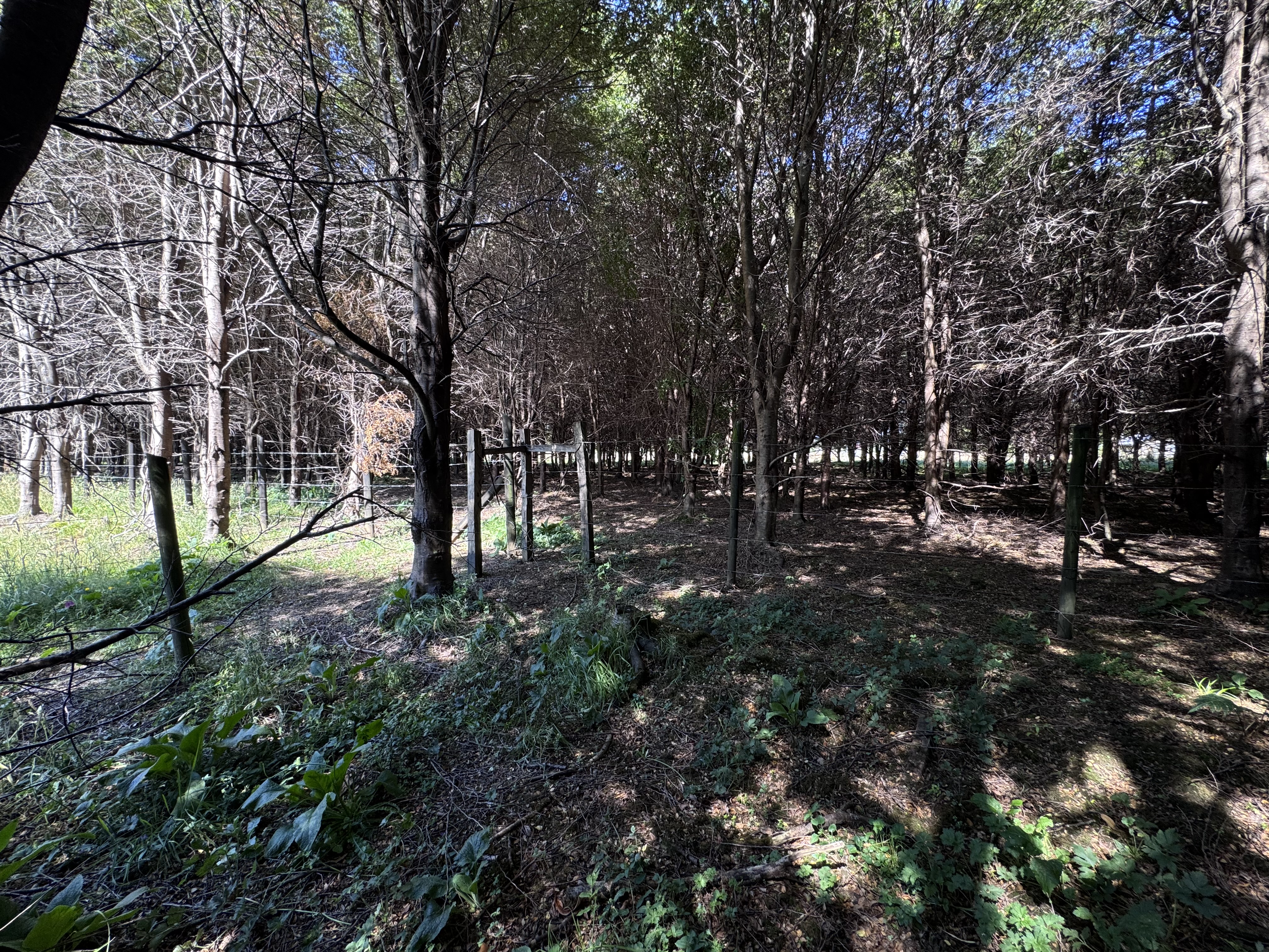 Scenic image of the land parcel highlighting its natural beauty.