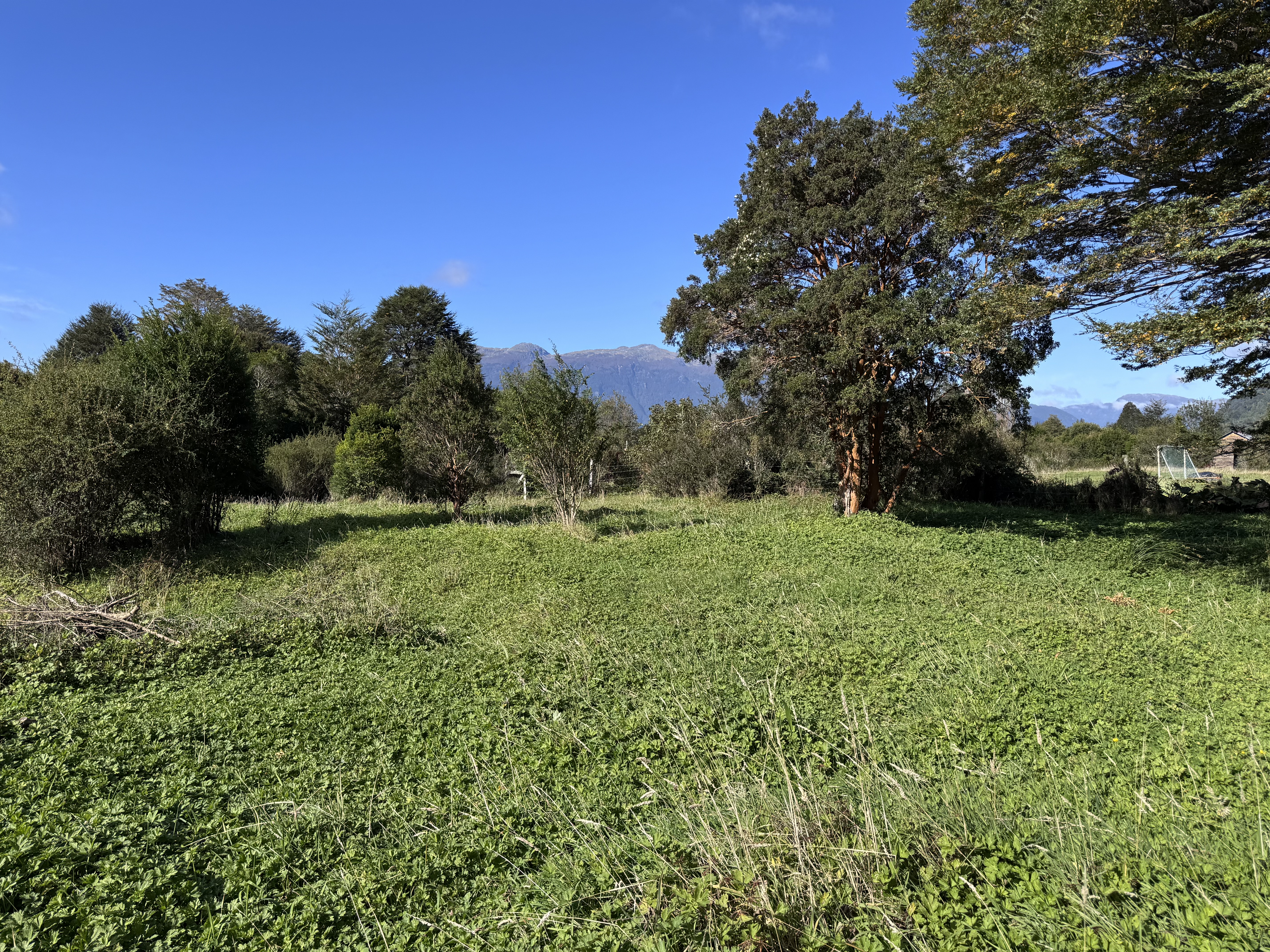 Local Comercial en Venta en Puerto Aysen | 5000 m² | $800.000 - 4