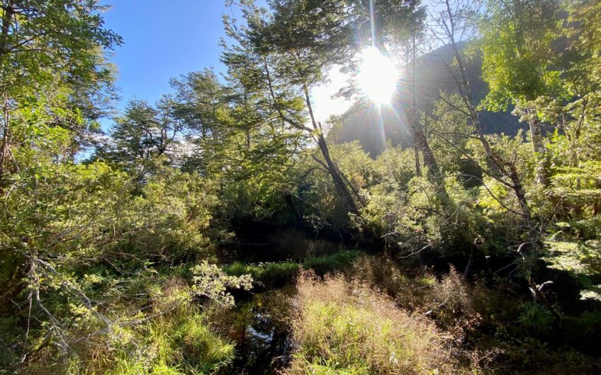 🌿 ENCUENTRA TU REFUGIO MÍSTICO EN LA PATAGONIA CHILENA 🌿