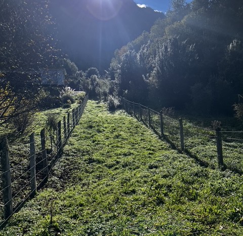 🌿PARCELA 1.6 HAS. EN VENTA – PANGAL BAJO, PUERTO AYSÉN🌿