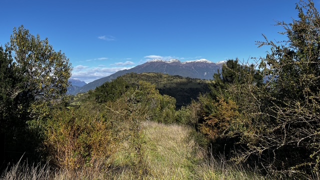 🌿PARCELA 1.6 HAS. EN VENTA – PANGAL BAJO, PUERTO AYSÉN🌿