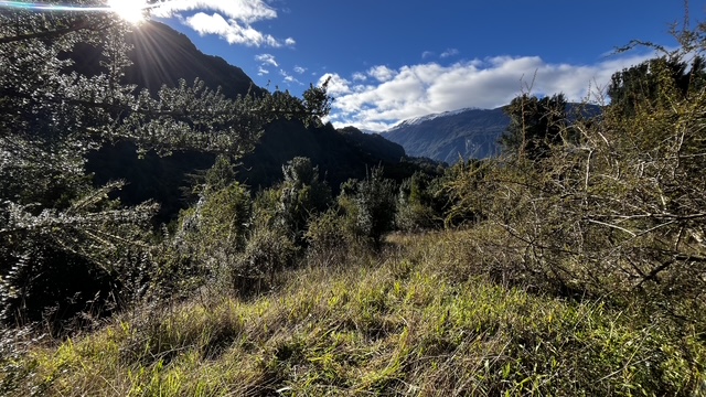 🌿PARCELA 1.6 HAS. EN VENTA – PANGAL BAJO, PUERTO AYSÉN🌿