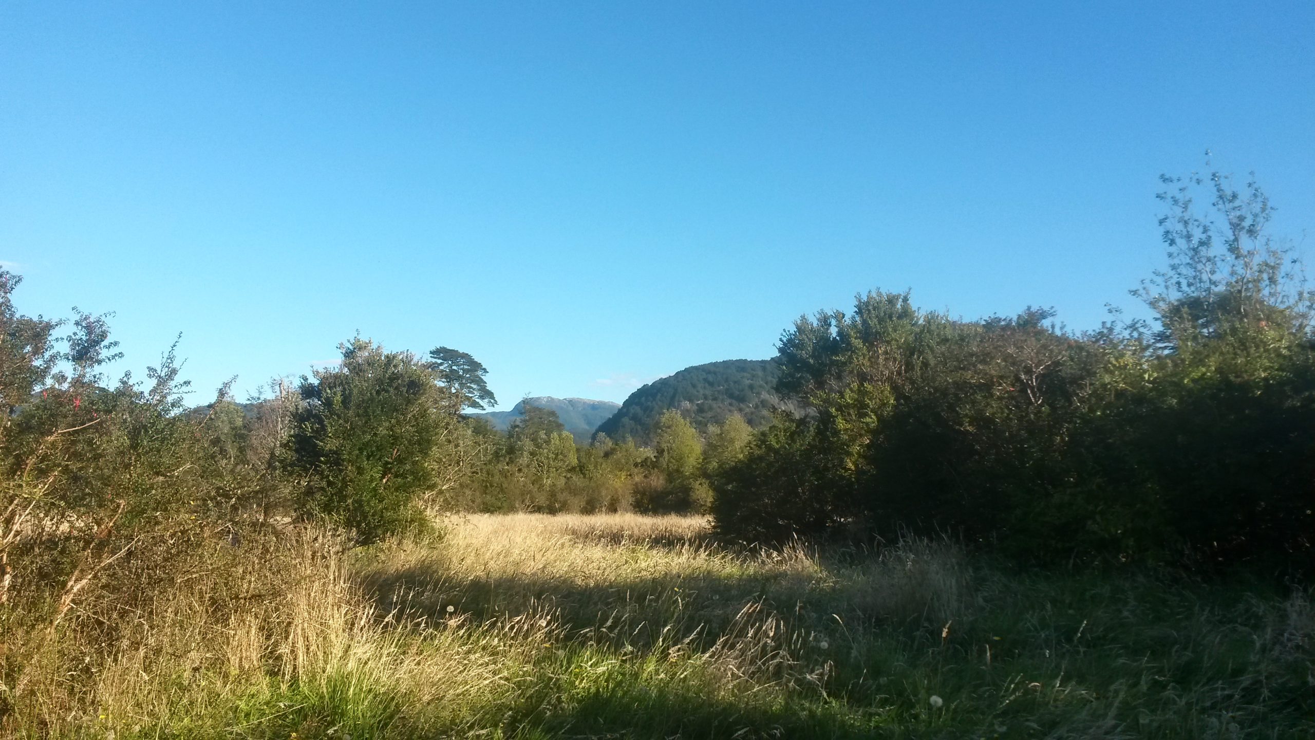 🌿 ENCUENTRA TU REFUGIO MÍSTICO EN LA PATAGONIA CHILENA 🌿