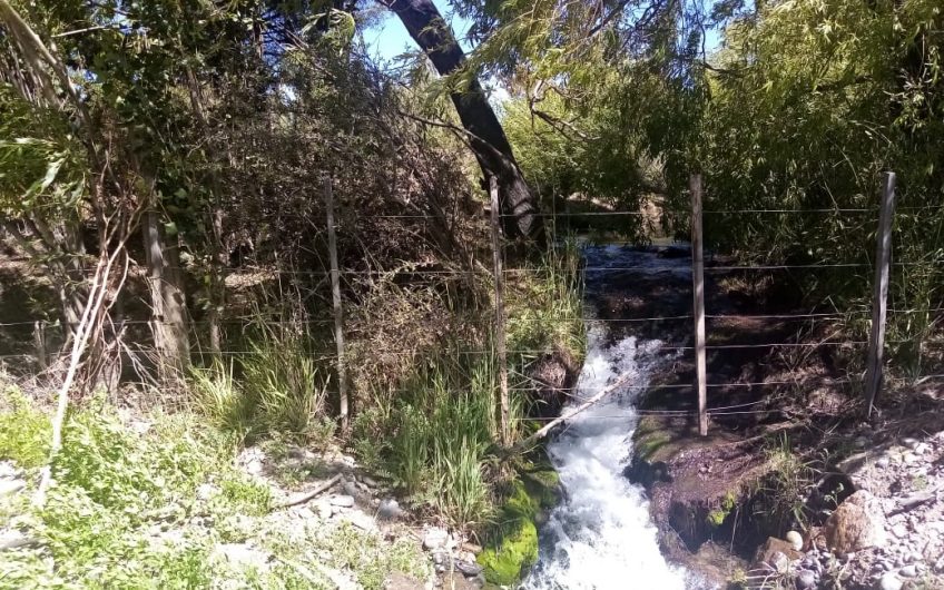 ☀️OPORTUNIDAD DE ADQUIRIR HERMOSA PARCELA EN CHILE CHICO☀️