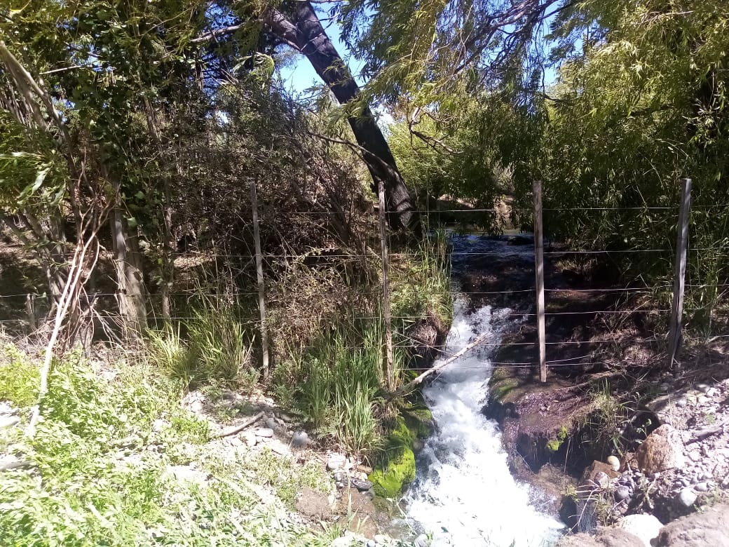 ☀️OPORTUNIDAD DE ADQUIRIR HERMOSA PARCELA EN CHILE CHICO☀️