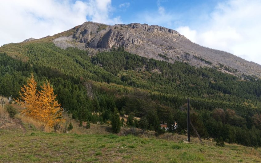 PROPIEDAD EN VENTA – CABAÑA EN PACELA DE 5000 m².
