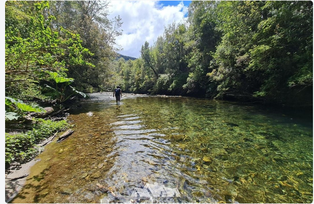LOTE 2 HECTÁREAS EN RESERVA NATURAL – PUERTO CHACABUCO, PATAGONIA CHILENA