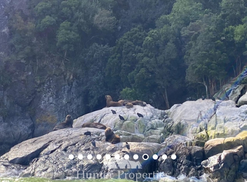 LOTE 2 HECTÁREAS EN RESERVA NATURAL – PUERTO CHACABUCO, PATAGONIA CHILENA