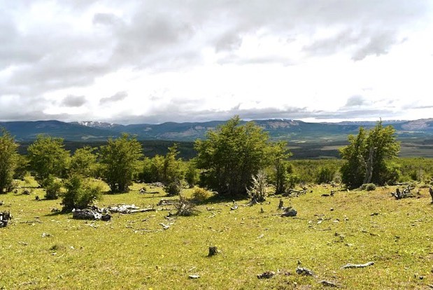 OPORTUNIDAD EN LA PATAGONIA! PARCELA EN BALMACEDA – SECTOR GALERA CHICO.